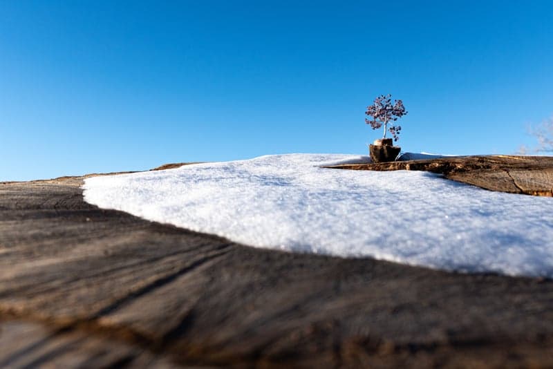 A snow-covered summit rising above the winter landscape