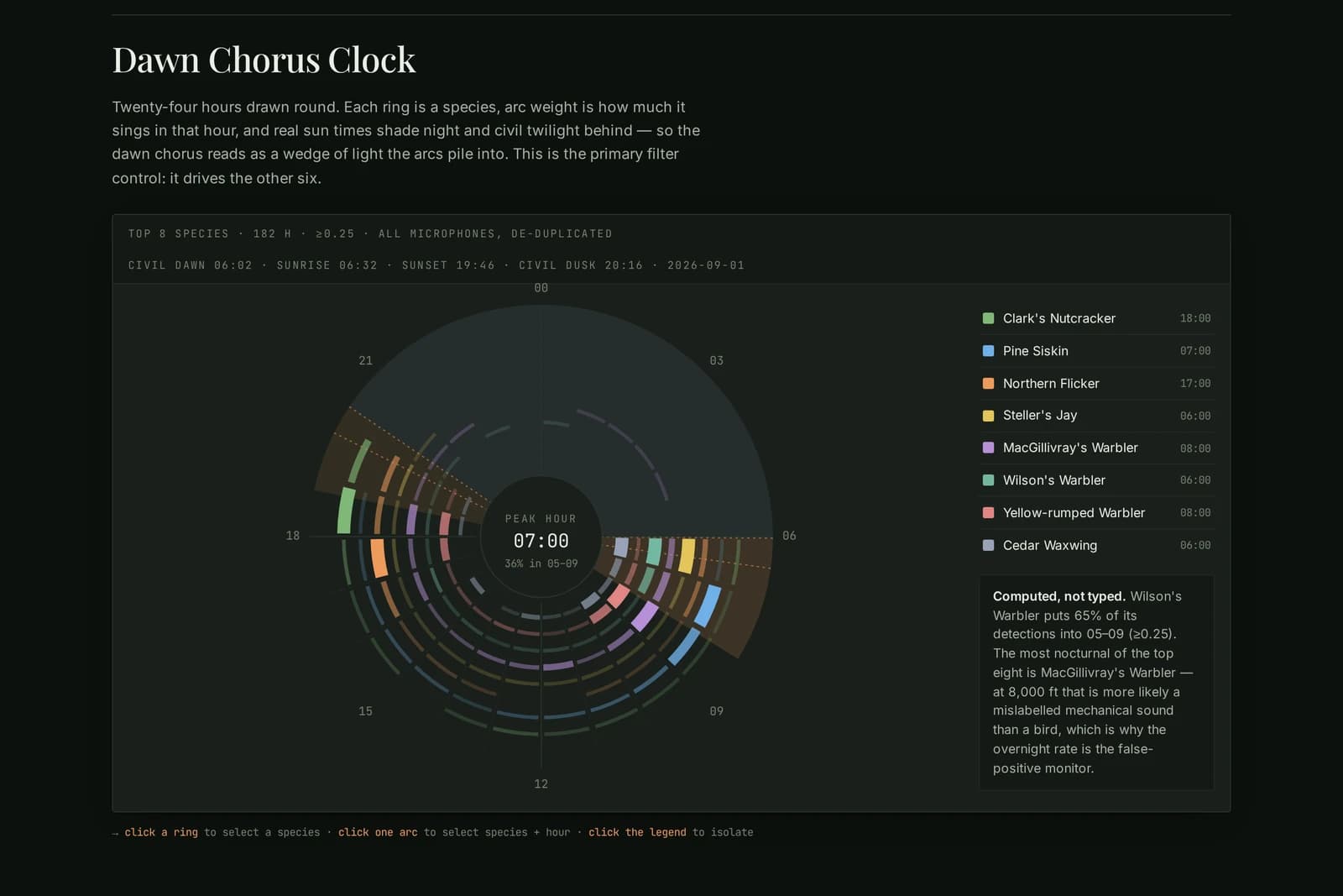 The dawn chorus clock