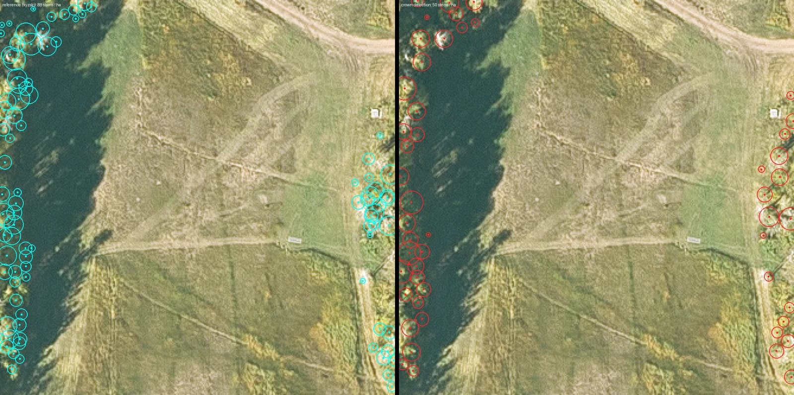 Forest density diagnostic from the bake pipeline